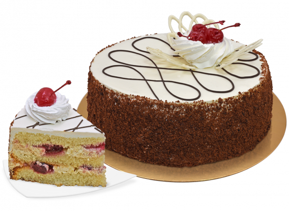 ���� ����� �������� ����� ����